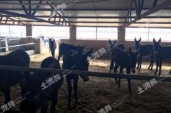 赤峰林西縣禮物店電話號(hào)碼