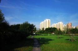 赤峰石博園花店電話號碼查詢