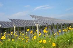 赤峰升壓器廠家電話多少號