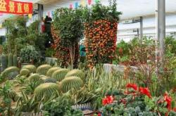 赤峰天豐商務(wù)大廈物業(yè)電話號碼