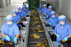 赤峰酸菜加工廠電話多少號(hào)