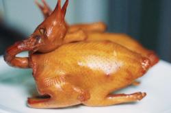 赤峰市賣乳鴿的地方電話號(hào)碼