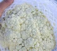 赤峰五福金牛超市電話號碼