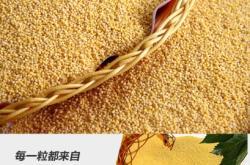 赤峰市商品雜糧批發(fā)電話號碼