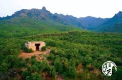 赤峰市林東鎮(zhèn)配貨站電話號(hào)碼