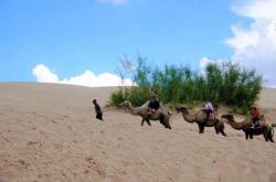 赤峰烏丹交通局局長電話號(hào)碼