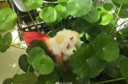 云澤煙酒赤峰代理電話號碼查詢