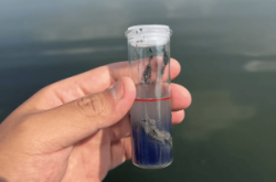 赤峰養(yǎng)殖河蟹基地電話多少號(hào)