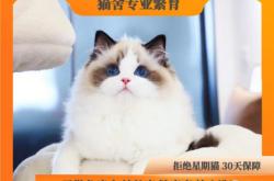 赤峰兔子 寵物店電話號碼多少