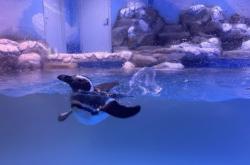 赤峰摩爾城餓了么電話地址查詢