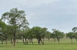 赤峰市豐源玩具城電話號(hào)碼