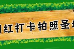 赤峰羊駝萌寵體驗(yàn)館電話號(hào)碼