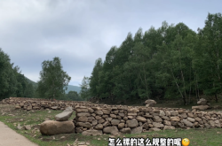 赤峰游牧羊團購電話多少號