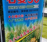 赤峰市石麥商貿(mào)公司電話號碼