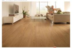 赤峰世友地板經(jīng)銷商電話號碼