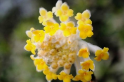 赤峰花町美植店電話地址查詢