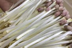 赤峰市花生基地電話號(hào)碼