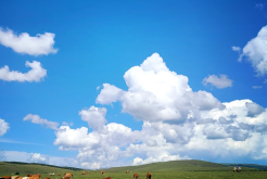 赤峰旅行包車(chē)電話(huà)號(hào)碼多少