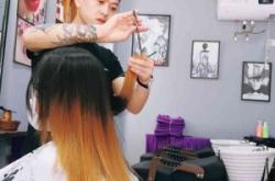 赤峰狗狗美發(fā)團購電話多少號