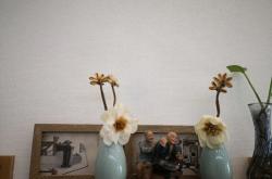 赤峰壁布加盟電話號碼查詢是多少