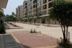 赤峰雙橋社區(qū)居委會電話號碼