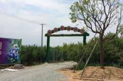 赤峰市藍(lán)莓采摘園電話地址查詢