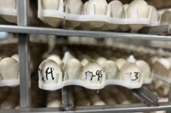 赤峰新城團購熟食店電話號碼