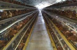 赤峰三喜有限責(zé)任公司電話號碼