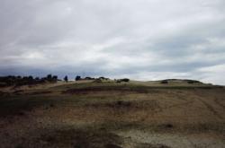 赤峰元寶山蝦店電話號碼查詢