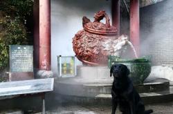 赤峰市溫泉訂票平臺電話號碼