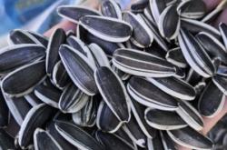 赤峰開魯大種子公司電話號碼