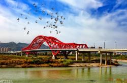 赤峰市哪有網(wǎng)紅橋啊電話號