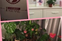 赤峰美眸美甲電話號(hào)碼查詢