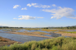 赤峰市星夢緣賓館電話號碼