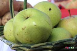 赤峰收死羊羔電話地址是多少號(hào)