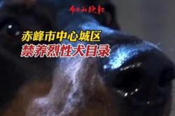 赤峰狗狗代買電話號碼多少號