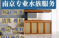 赤峰清洗維護(hù)清理魚(yú)缸電話(huà)號(hào)碼是多少