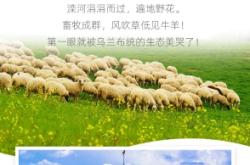 赤峰篝火爐廠家電話多少號