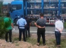 赤峰農(nóng)村收豬廠電話號(hào)碼多少