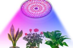 赤峰變色補(bǔ)光燈廠家電話號碼