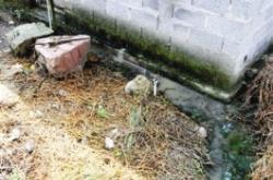 赤峰雙山子養(yǎng)豬場(chǎng)電話號(hào)碼