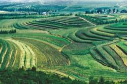 赤峰市敖漢旗獸醫(yī)站電話號碼