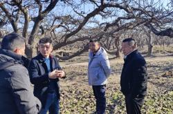 赤峰平莊大花轎電話號碼查詢