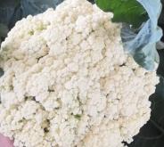 赤峰優(yōu)柏特超市地址電話號(hào)碼