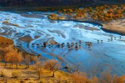 赤峰壩上旅行團(tuán)團(tuán)長(zhǎng)電話號(hào)碼