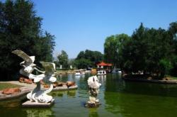 赤峰植物園網(wǎng)吧電話號碼多少