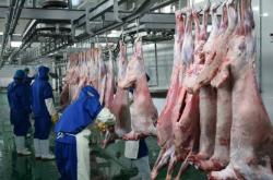 赤峰羊屠宰場聯(lián)系電話