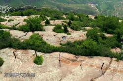 赤峰市方圓街電話號碼是多少