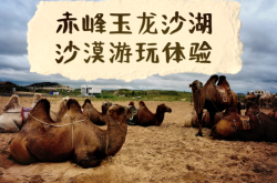 赤峰名爵會(huì)所電話號(hào)碼多少號(hào)