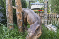 赤峰海爾貝游樂場(chǎng)地址電話號(hào)碼